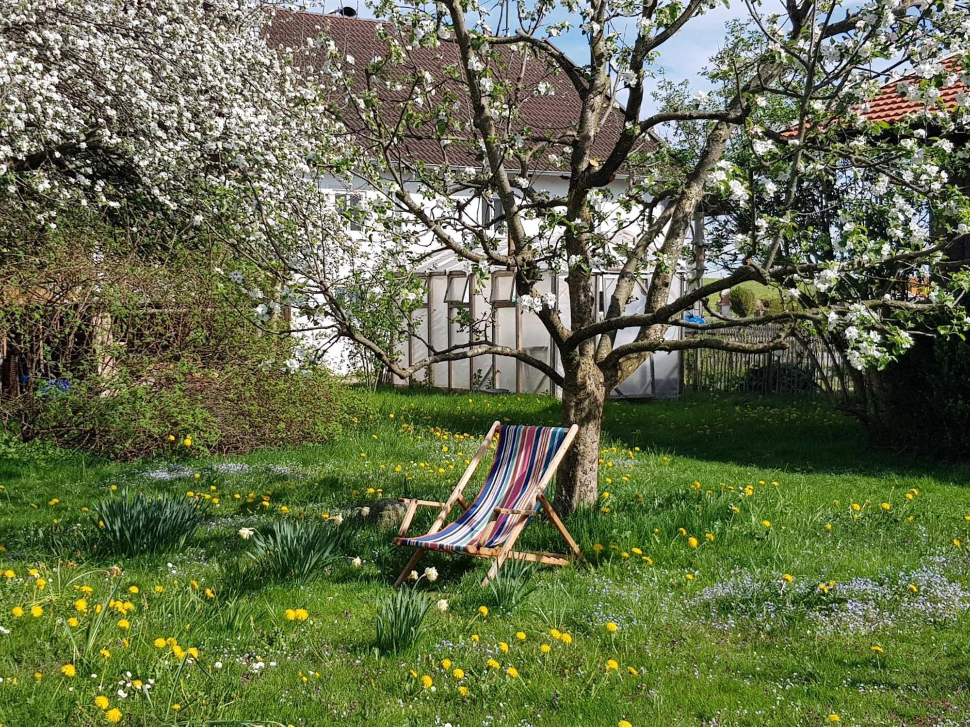 פייטינג Ferienwohnung Hofen 5 מראה חיצוני תמונה